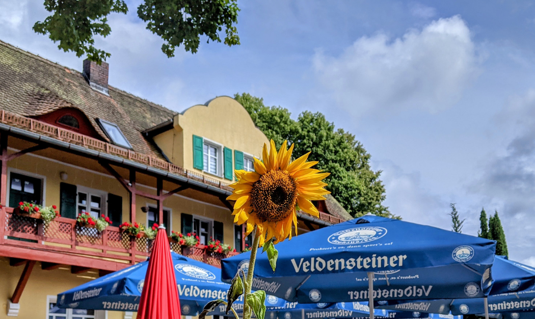 Blick auf das Grenzzoigl vom Biergarten aus mit einer Sonnenblume