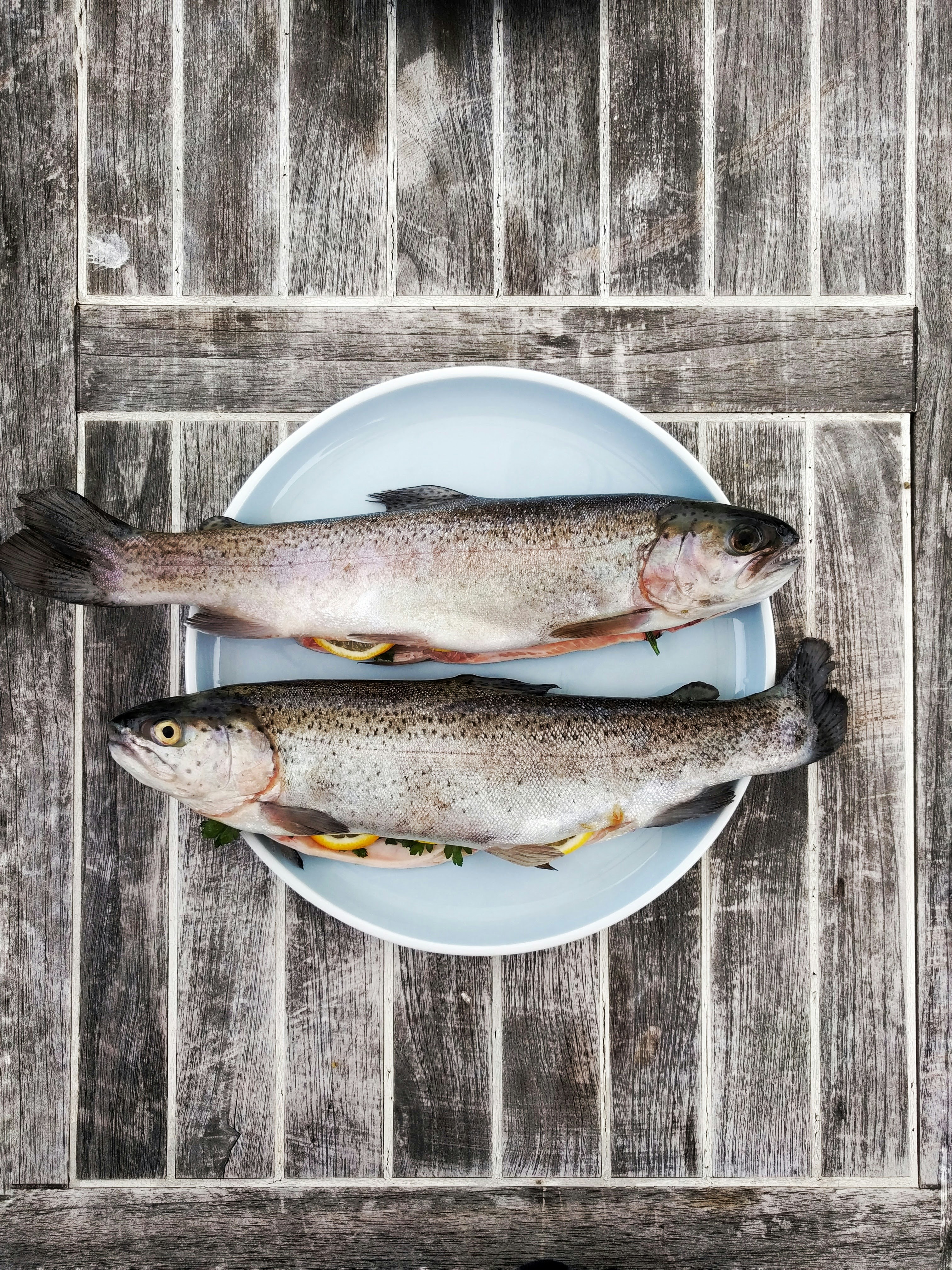 Fisch der Erlengrundfischerei Rau